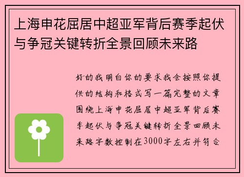 上海申花屈居中超亚军背后赛季起伏与争冠关键转折全景回顾未来路